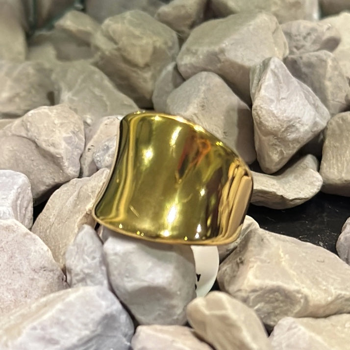 Anillo Dorado Liso #6