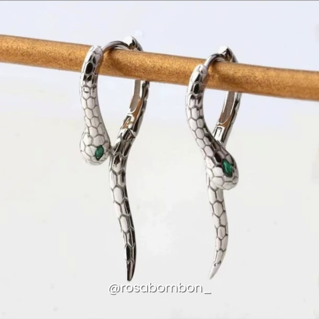 Arracadas Silver Snake