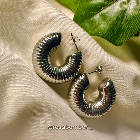 Aretes Plata Armadillo