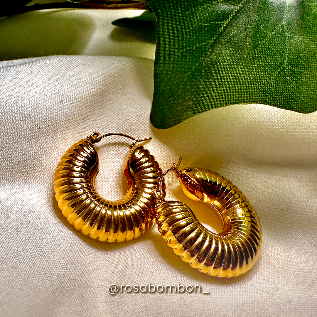 Aretes Dorados Armadillo